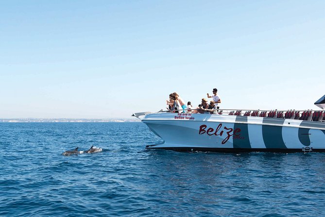 Dolphin Watching and Cave Boat Cruise from Albufeira - Key points to know before booking