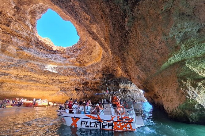 Dolphin Watching and Caves Cruise - Key points at a glance