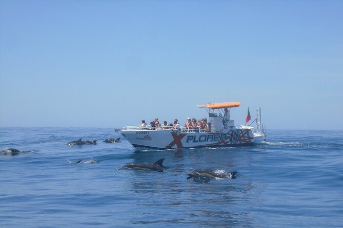 Dolphin Watching and Caves Cruise - Why the Benagil stop is the visual highlight