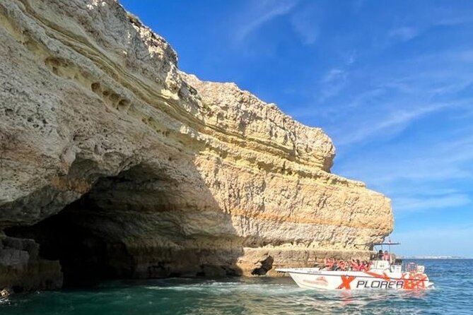 Dolphin Watching and Caves Cruise - Is $37.49 a fair price?
