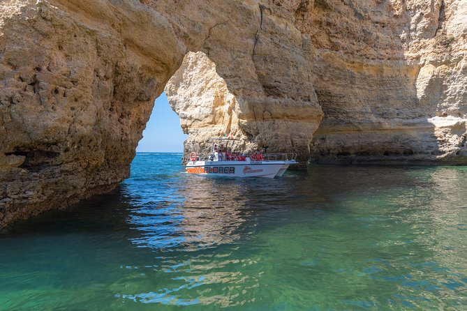 Dolphin Watching and Caves Cruise - Who will enjoy this cruise most