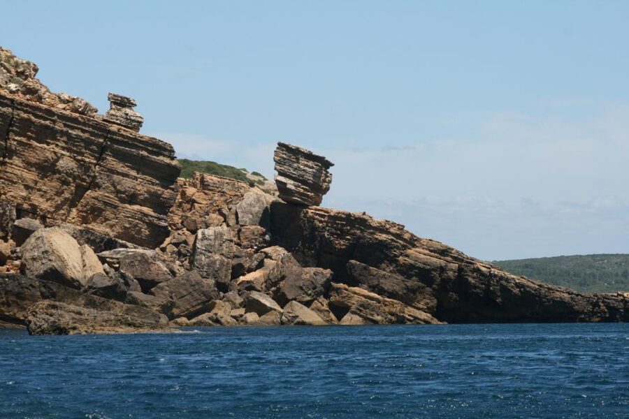 Dolphin Watching and Local Caves - Starting at Largo da Liberdade 2
