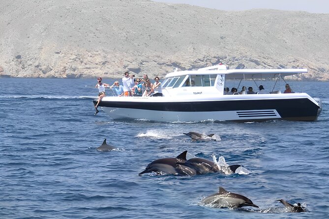 Dolphin Watching and Snorkeling Activity in Muscat - Key points before you book