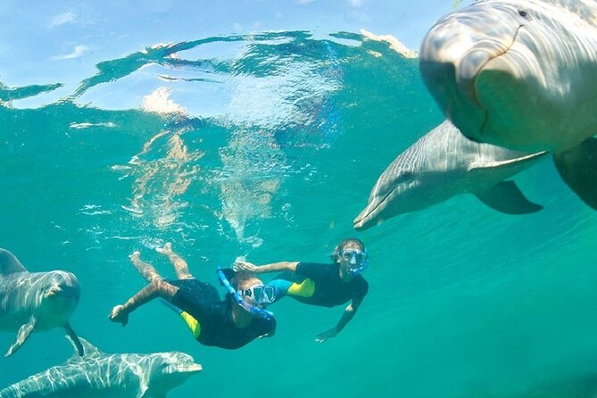 Dolphin Watching and Snorkeling Activity in Muscat - Snacks and drinks keep the morning practical
