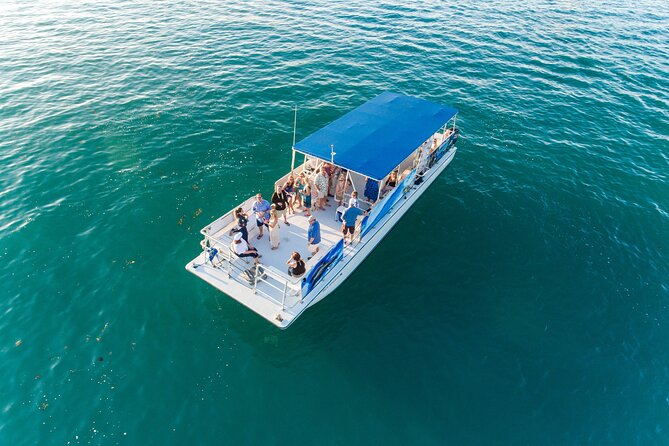 Dolphin Watching and Snorkeling Adventure in Key West - Is $89 a fair price?