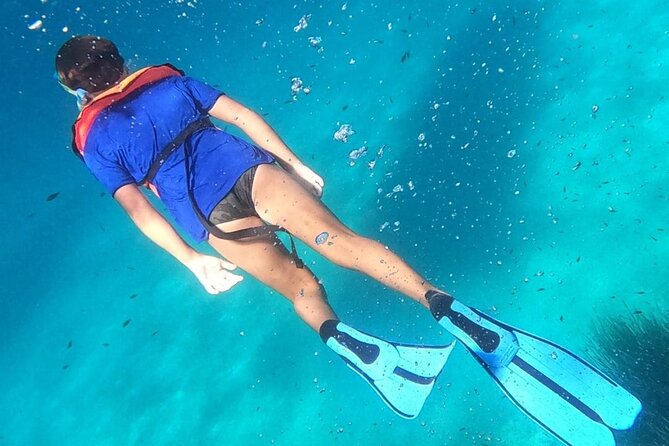 Dolphin Watching and Snorkeling in Figarolo in Sardinia - Is $84.69 a fair price?