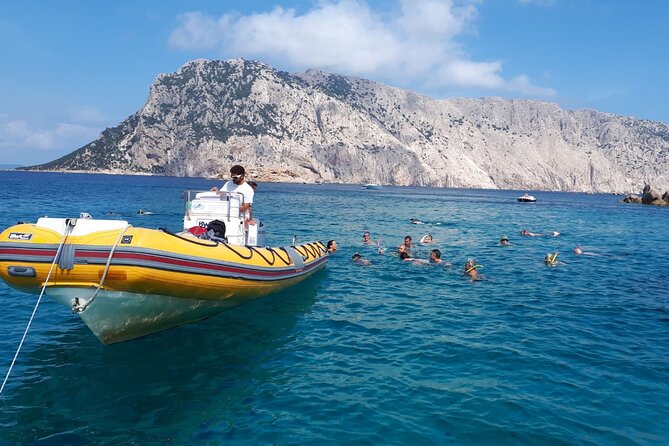 Dolphin Watching and Snorkeling in Figarolo in Sardinia - Who will enjoy this outing most?