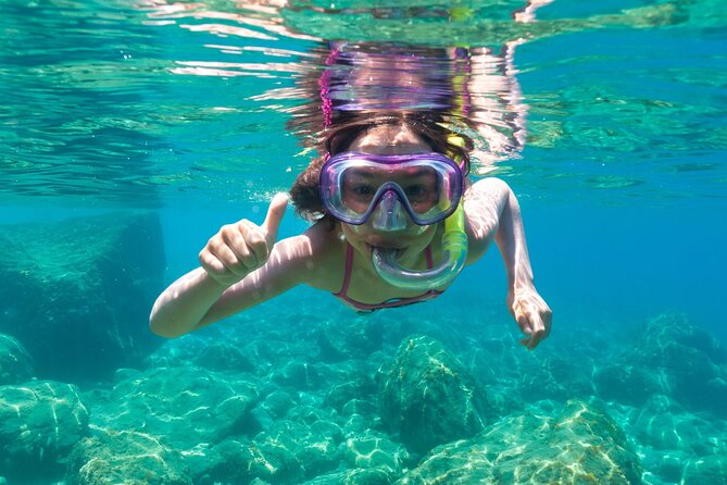 Dolphin Watching and Snorkeling in Figarolo in Sardinia - Swimming around Cala Greca and Cala Moresca