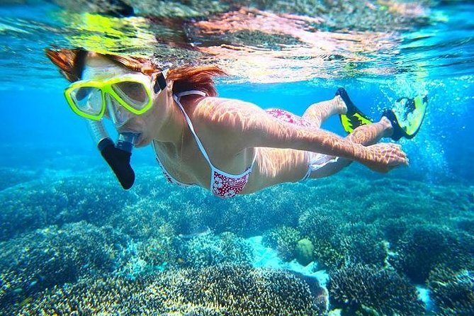 Dolphin Watching and Snorkeling Tour from Muscat - Snorkeling in Bandar Khiran for about an hour