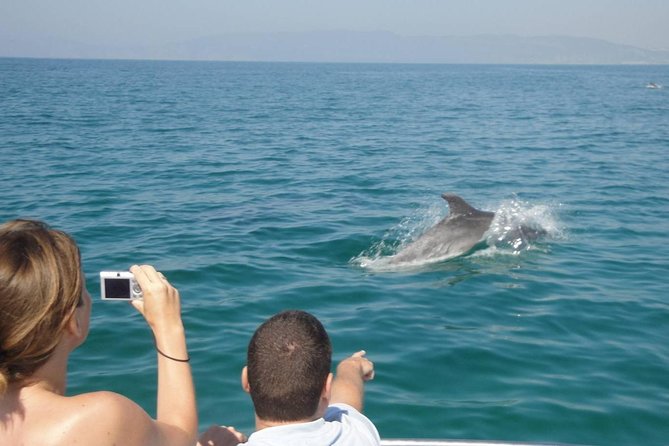 Dolphin Watching and Snorkeling Tour from Muscat - Cancellation and weather details