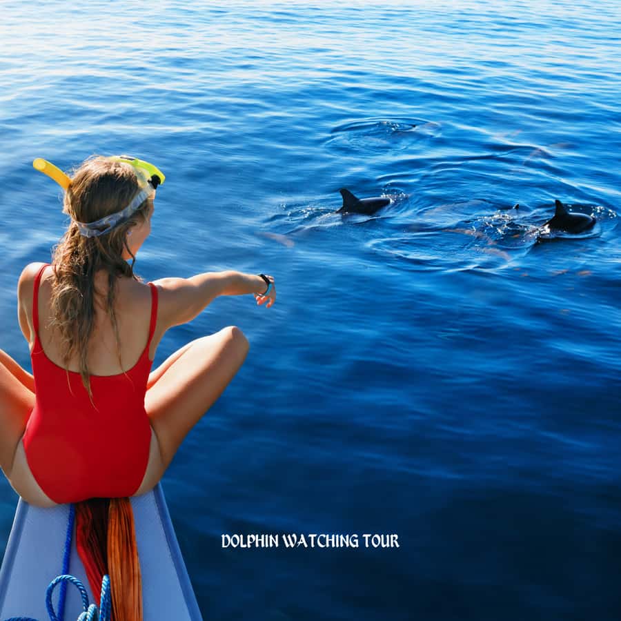 Dolphin Watching and Snorkeling Tour with Hotel Transfers - Leaving Muscat for Bandar Al Rowdha Marina