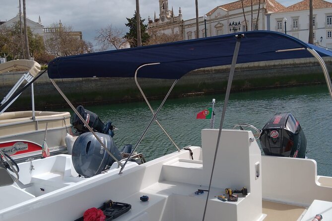 Dolphin watching and wildlife from Faro - The people behind the boat