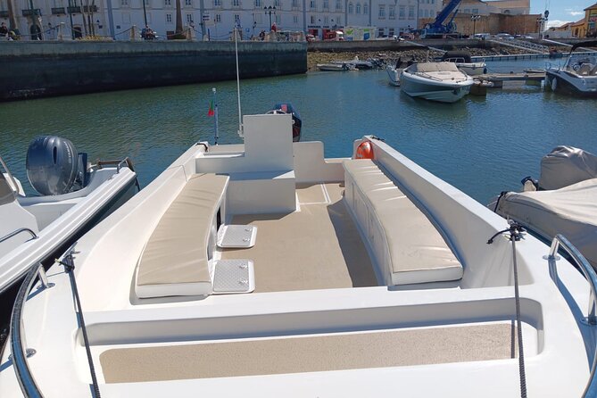 Dolphin watching and wildlife from Faro - Is $57.32 a fair price?