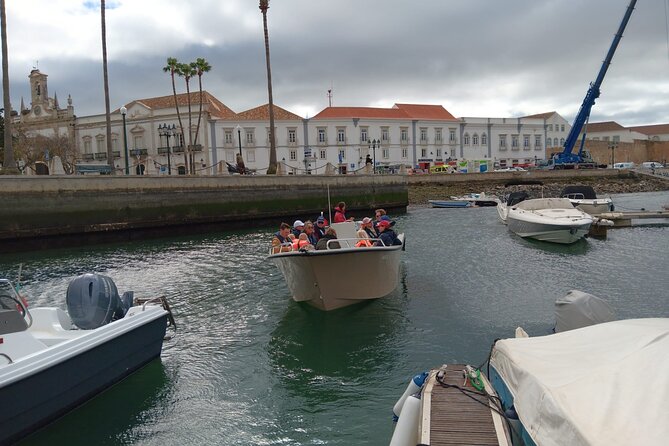 Dolphin watching and wildlife from Faro - Who will enjoy this Faro excursion?