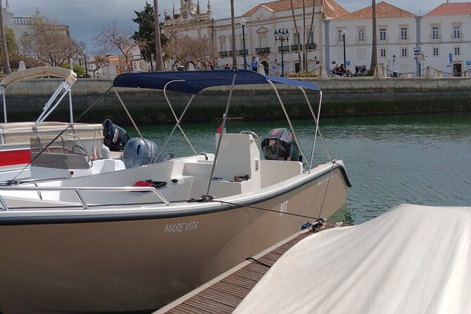Dolphin watching and wildlife from Faro - Weather, cancellations, and timing