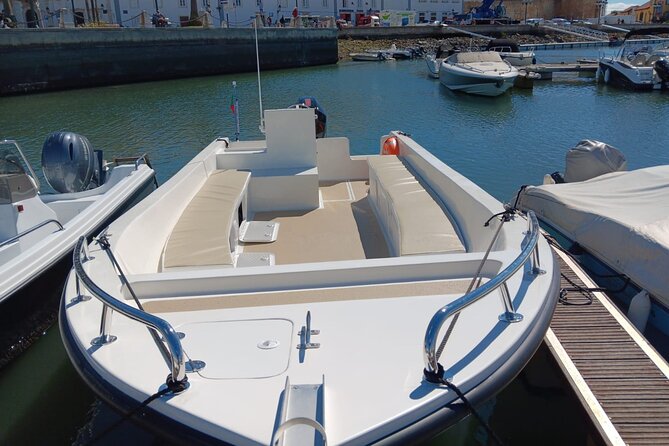 Dolphin watching and wildlife from Faro - Ria Formosa comes before the open Atlantic