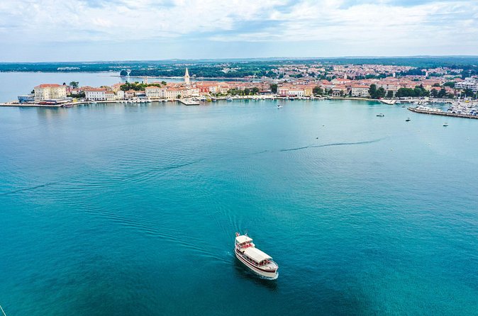 Dolphin Watching around Poreč Riviera with Boat Trip - What the Best Dolphin Moment Looks Like