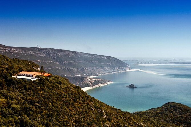Dolphin Watching at the Arrabida (Lisbon region) - Key points before you book