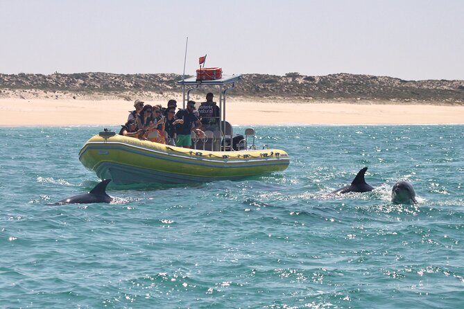 Dolphin Watching at the Arrabida (Lisbon region) - Setting out from Sesimbra