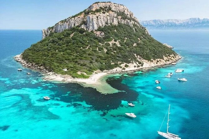 Dolphin Watching Boat Excursion to Figarolo Island from Olbia - Drinks, snacks, and the feel on board