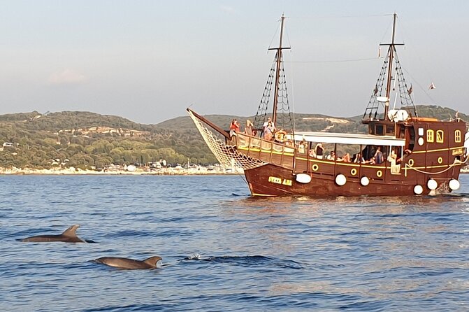 Dolphin Watching Boat Trip around Vrsar - Who should book the Sveta Ana cruise