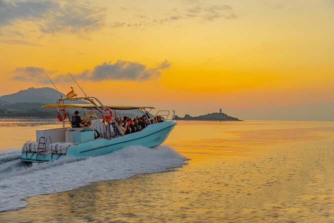 Dolphin watching by boat - Practical advice for making the most of it