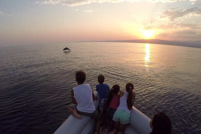 Dolphin Watching & Conservation - Dolphins in the Gulf of Catania - Setting out from Catania at 9 a.m.