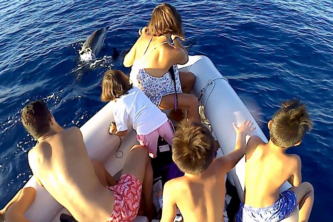 Dolphin Watching & Conservation - Dolphins in the Gulf of Catania - Searching for dolphins in open water