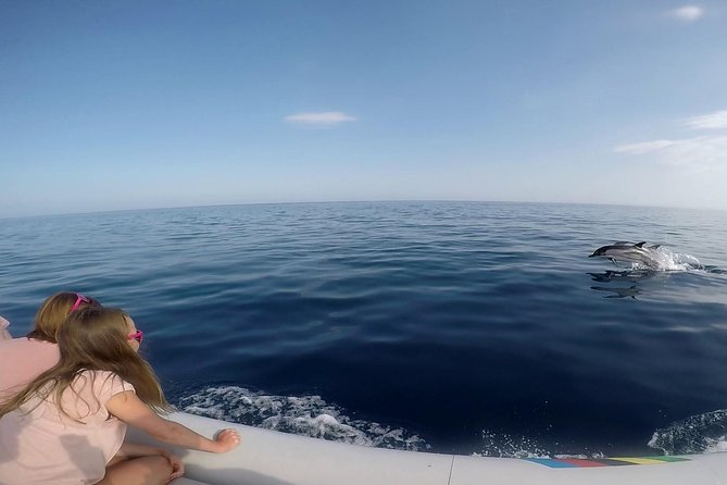 Dolphin Watching & Conservation - Dolphins in the Gulf of Catania - Aci Trezza and Aci Castello from the water