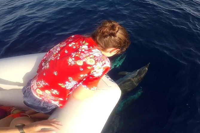 Dolphin Watching & Conservation - Dolphins in the Gulf of Catania - Mount Etna as your constant reference point