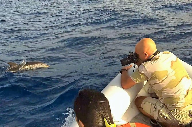 Dolphin Watching & Conservation - Dolphins in the Gulf of Catania - Boat comfort, safety, and family concerns