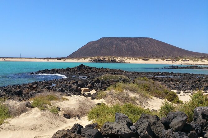 Dolphin Watching Cruise to Lobos Island - The cove stop, swimming, and snorkeling