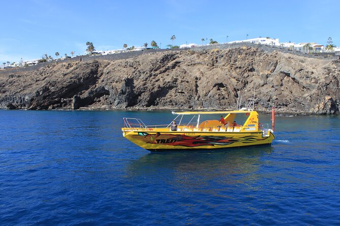Dolphin Watching Cruise to Lobos Island - Seeing Lobos from the water