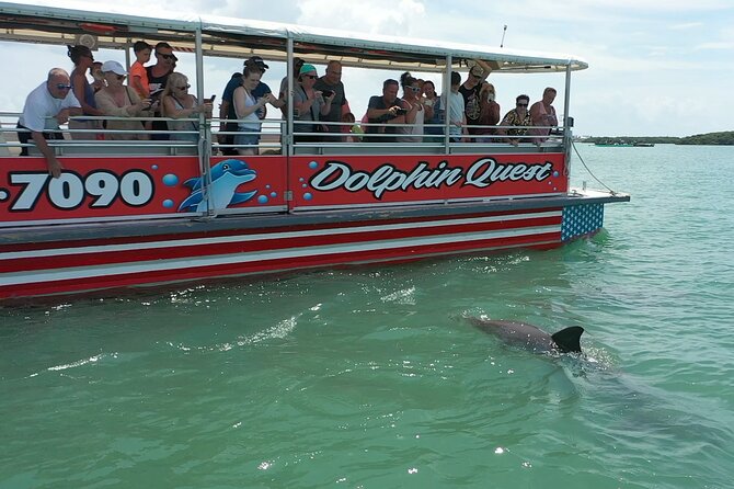 Dolphin Watching/Eco Cruise, John's Pass, Madeira Bch, FL - Quick takeaways for planning your cruise