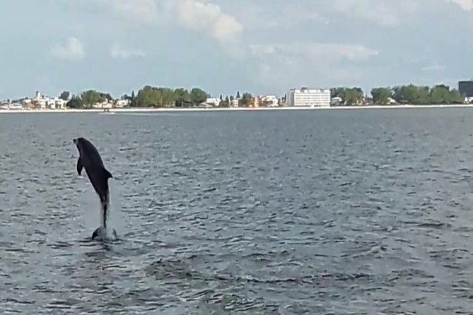 Dolphin Watching/Eco Cruise, John's Pass, Madeira Bch, FL - What the 90-minute cruise actually covers