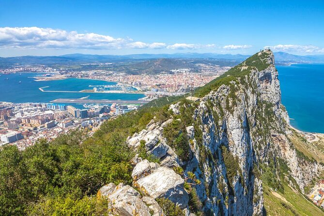 Dolphin Watching Excursion in Gibraltar - Quick take: what makes this boat trip worthwhile