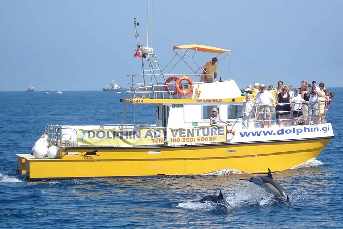 Dolphin Watching Excursion in Gibraltar - The Rock of Gibraltar from the water
