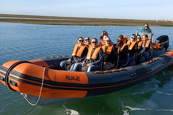 Dolphin Watching from Faro - Key points to know before you book