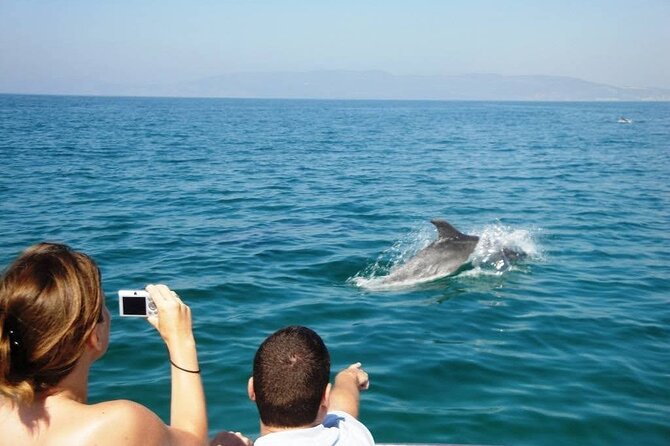 Dolphin Watching from Faro - What the $60.01 price really buys