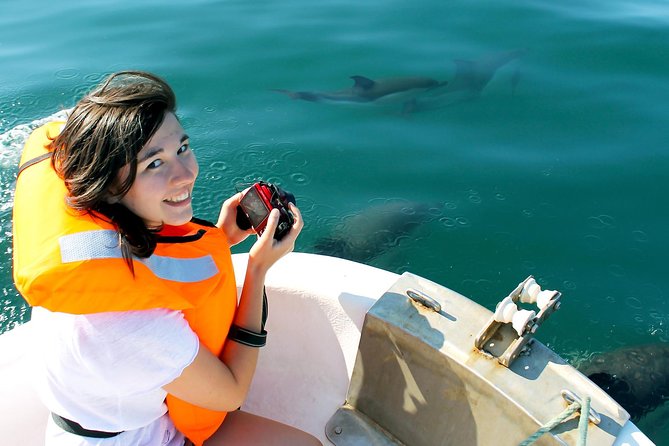 Dolphin Watching from Fuzeta - Key points to know before booking