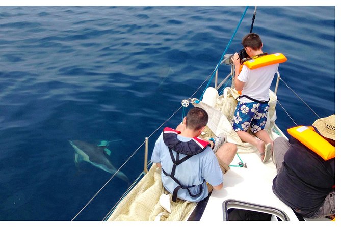 Dolphin Watching from Fuzeta - Guides, boat handling, and group size