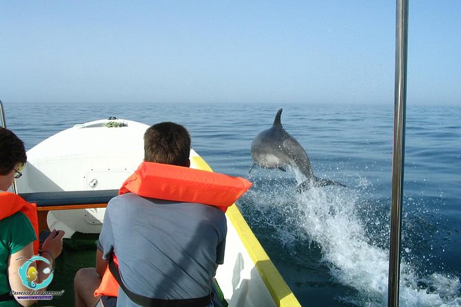 Dolphin Watching from Fuzeta - Is $42.17 a fair price?