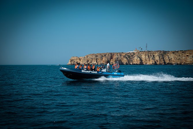 Dolphin Watching from Lagos with Marine Biologists - What the marine-biologist commentary adds