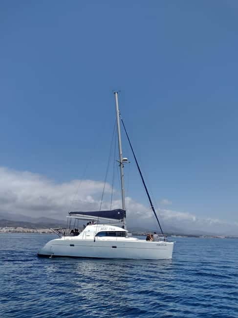 Dolphin watching in Estepona - Leaving Puerto Deportivo Marina de Estepona
