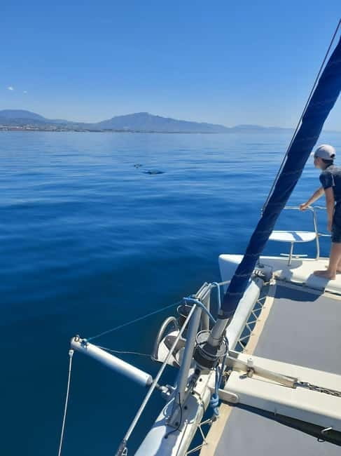 Dolphin watching in Estepona - Should You Book the Moby Dick Catamaran?