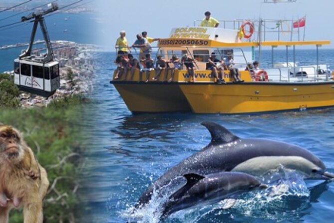 Dolphin Watching in Gibraltar & Fast Track Priority Cable Car - Two Gibraltar attractions with very different rhythms
