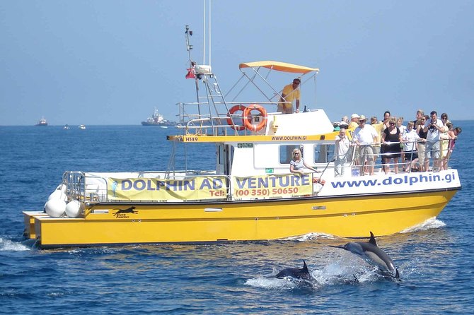 Dolphin Watching in Gibraltar & Fast Track Priority Cable Car - What you see beyond the dolphins