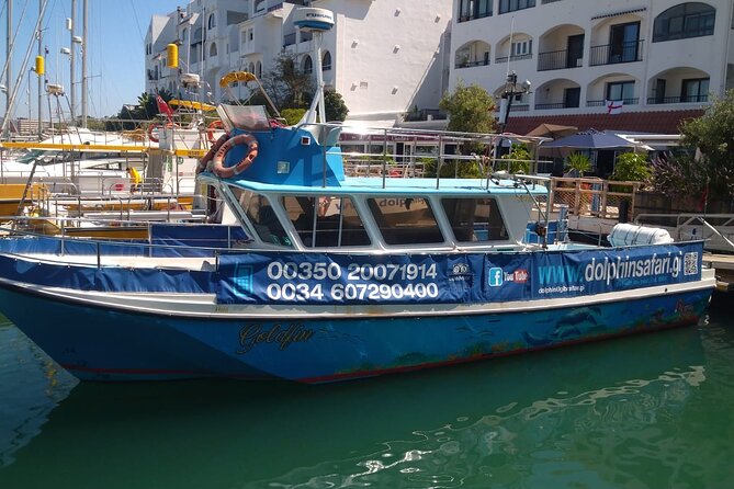 Dolphin Watching in Gibraltar with Dolphin Safari - Key points to know before booking