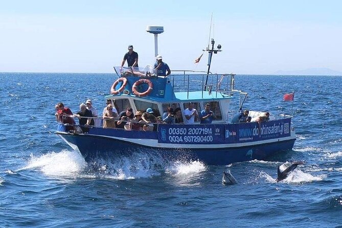 Dolphin Watching in Gibraltar with Dolphin Safari - Friendly guides and a relaxed mood