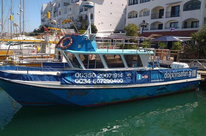 Dolphin Watching in Gibraltar with Dolphin Safari - Is $47.54 a fair price?
